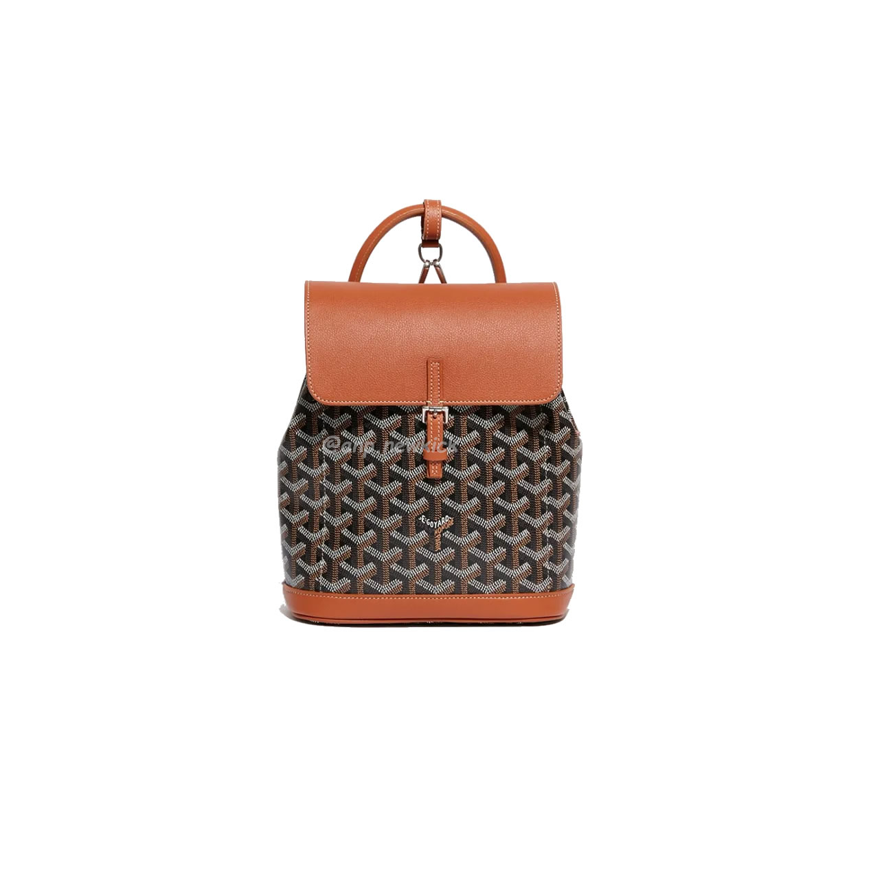 Goyard Alpin Mini Backpack 23 Cm X 9.5 Cm X 19 Cm (4) - newkick.vip